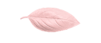 dua fatima (209 x 90 px)